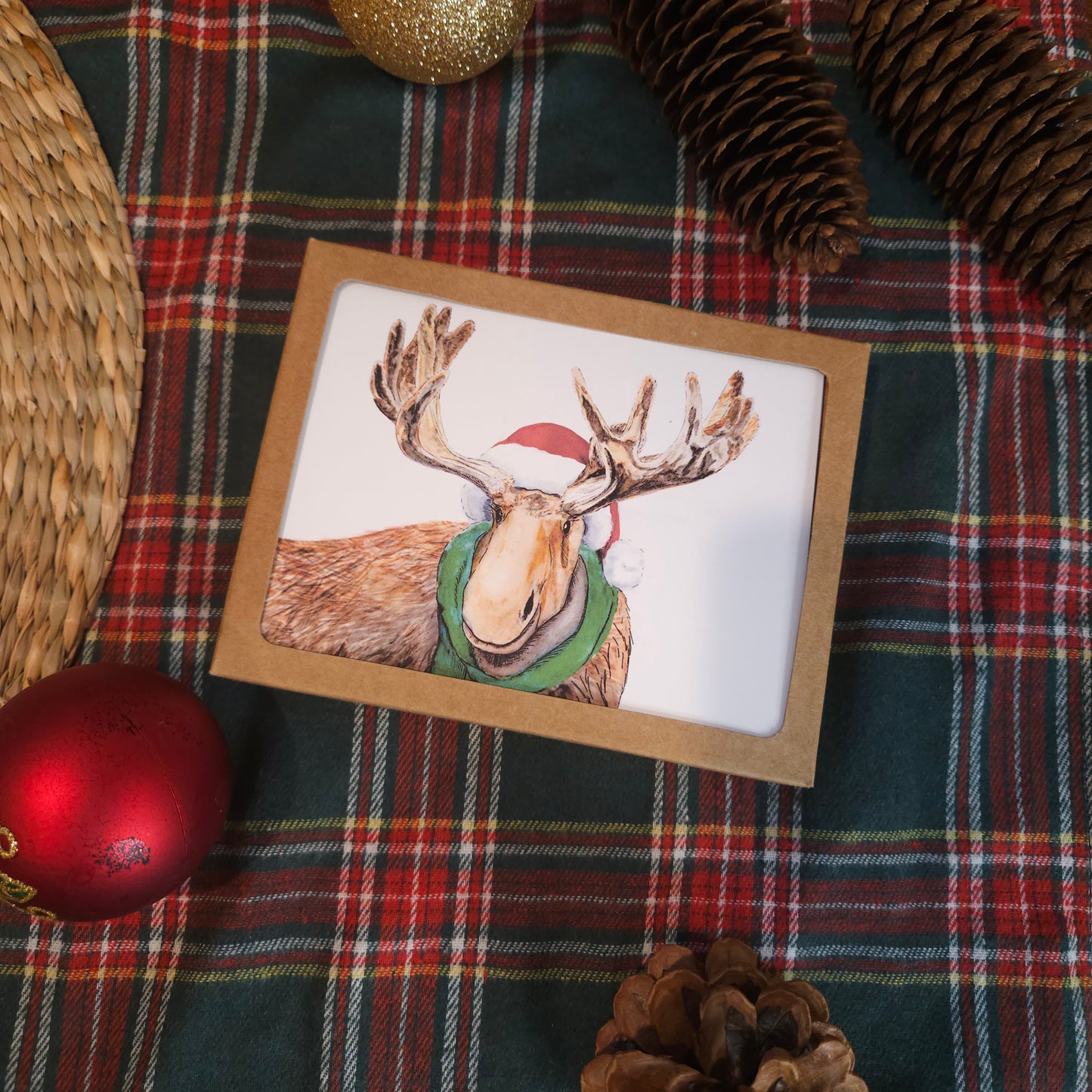 Moose-ive Joy card boxed set