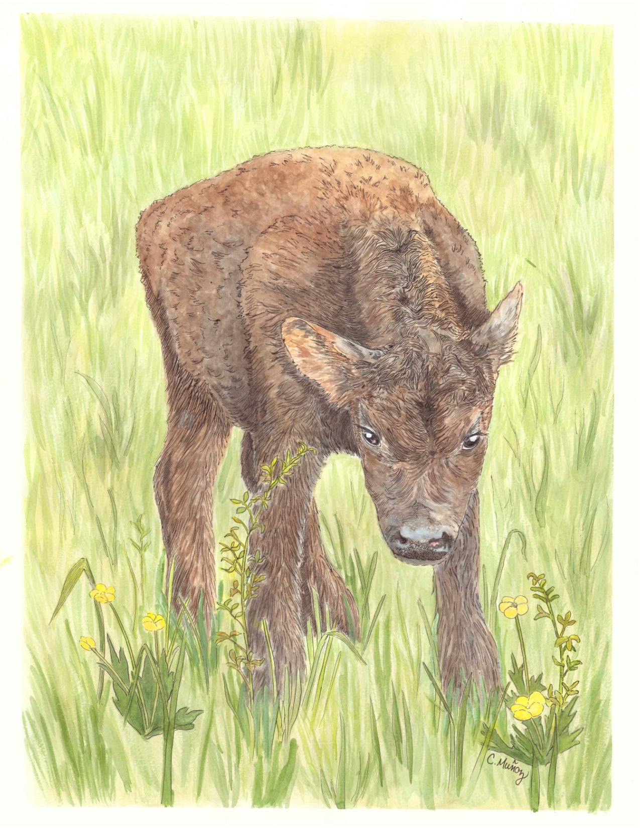 Born Yesterday Card