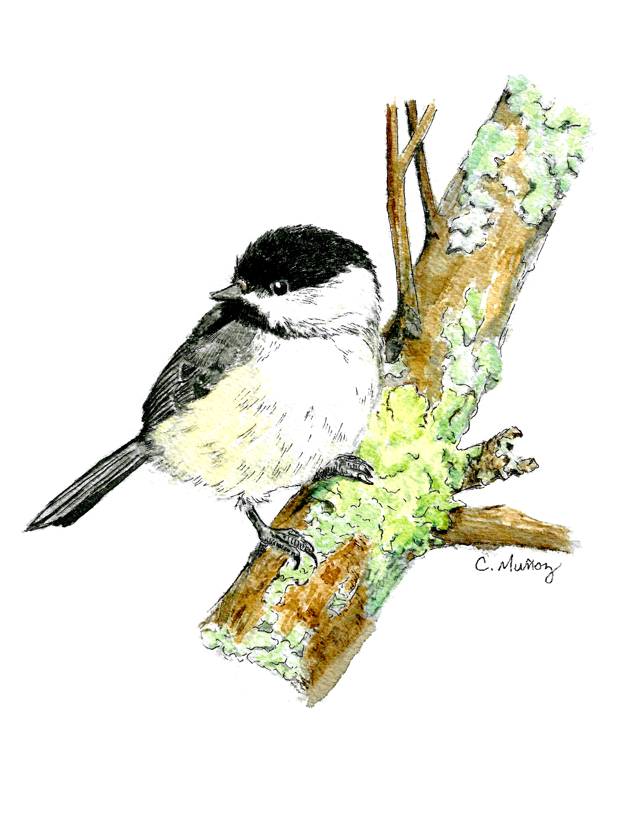 Lichen that Chickadee Greeting Card – whimsical woodland animal gift, perfect for holidays and everyday use.