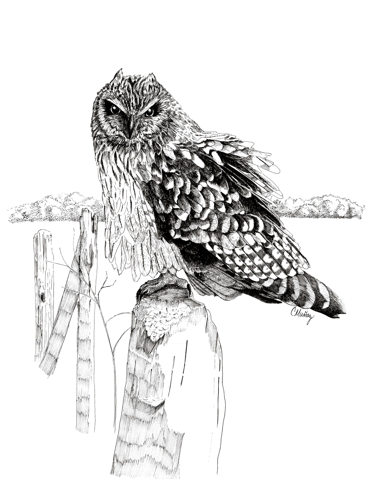 Ruffled Feathers Greeting Card – whimsical woodland animal gift, perfect for holidays and everyday use.
