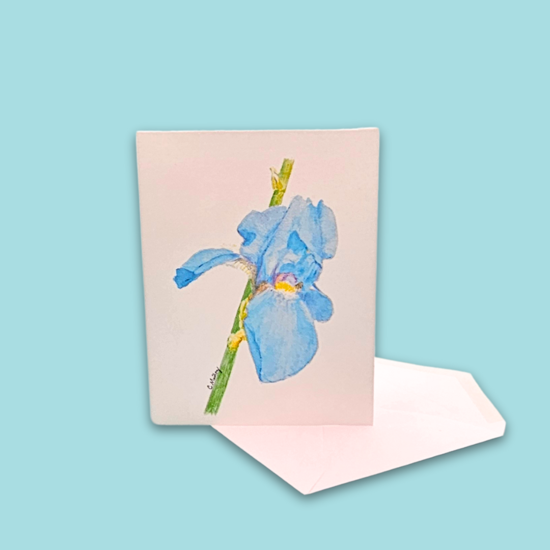 Blue Iris
