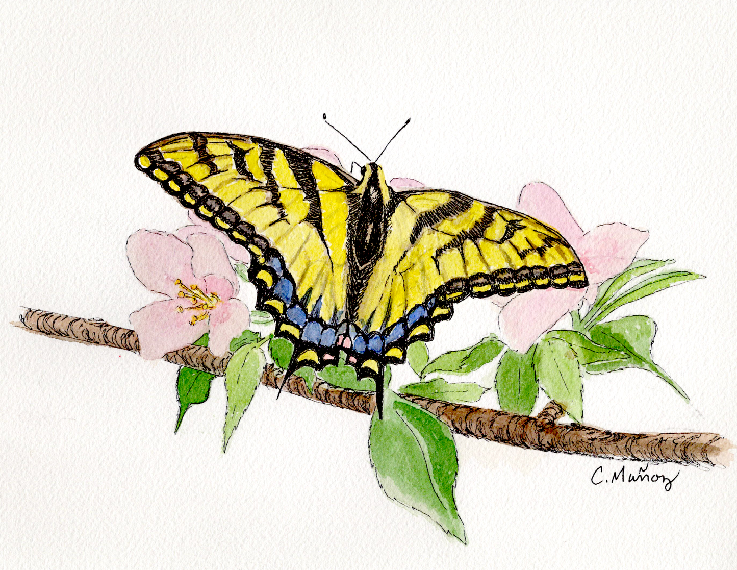 Butterfly Card