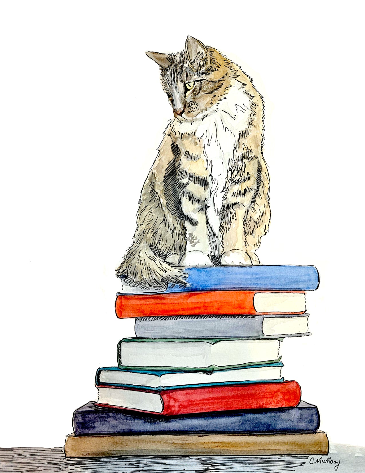 Which book? Greeting Card