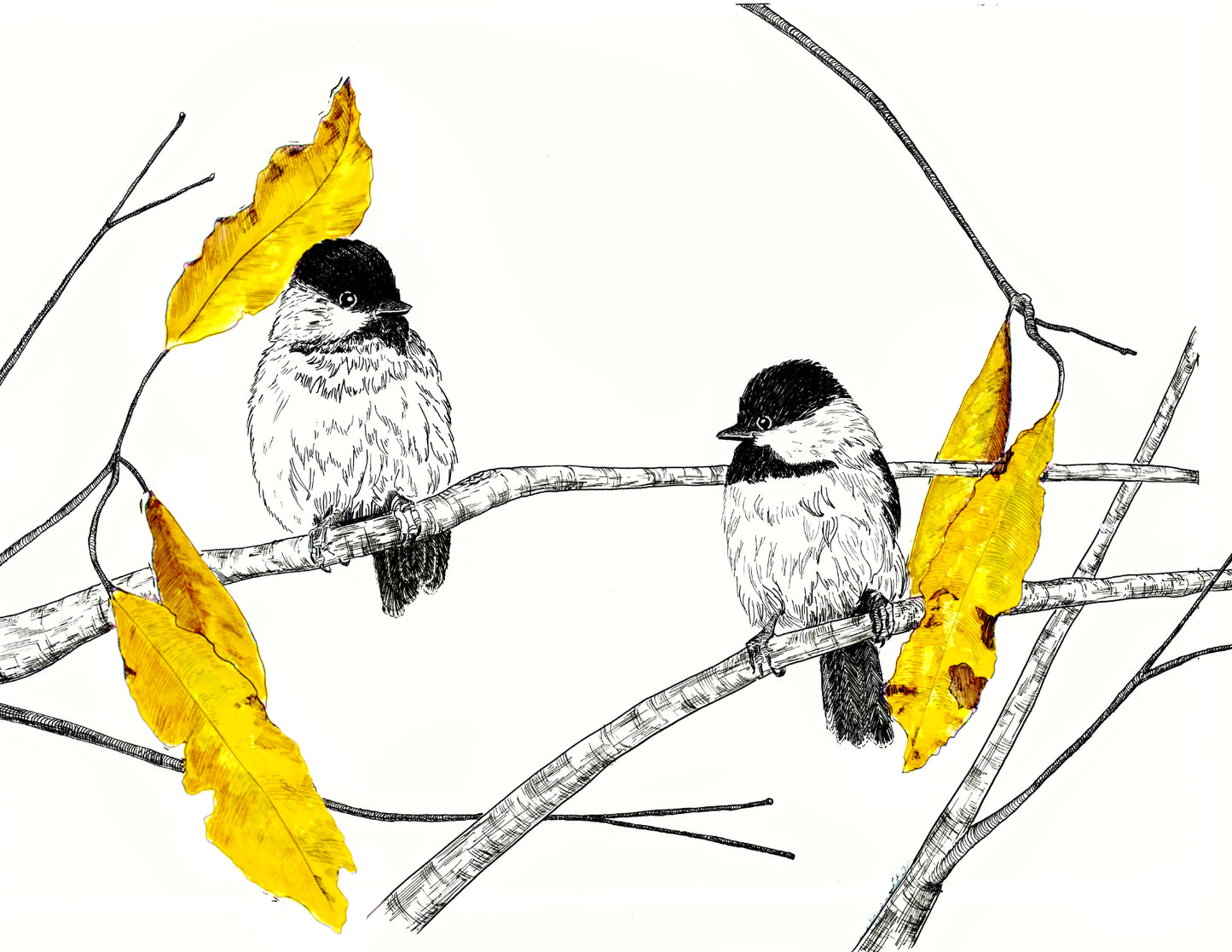 Conversation Card