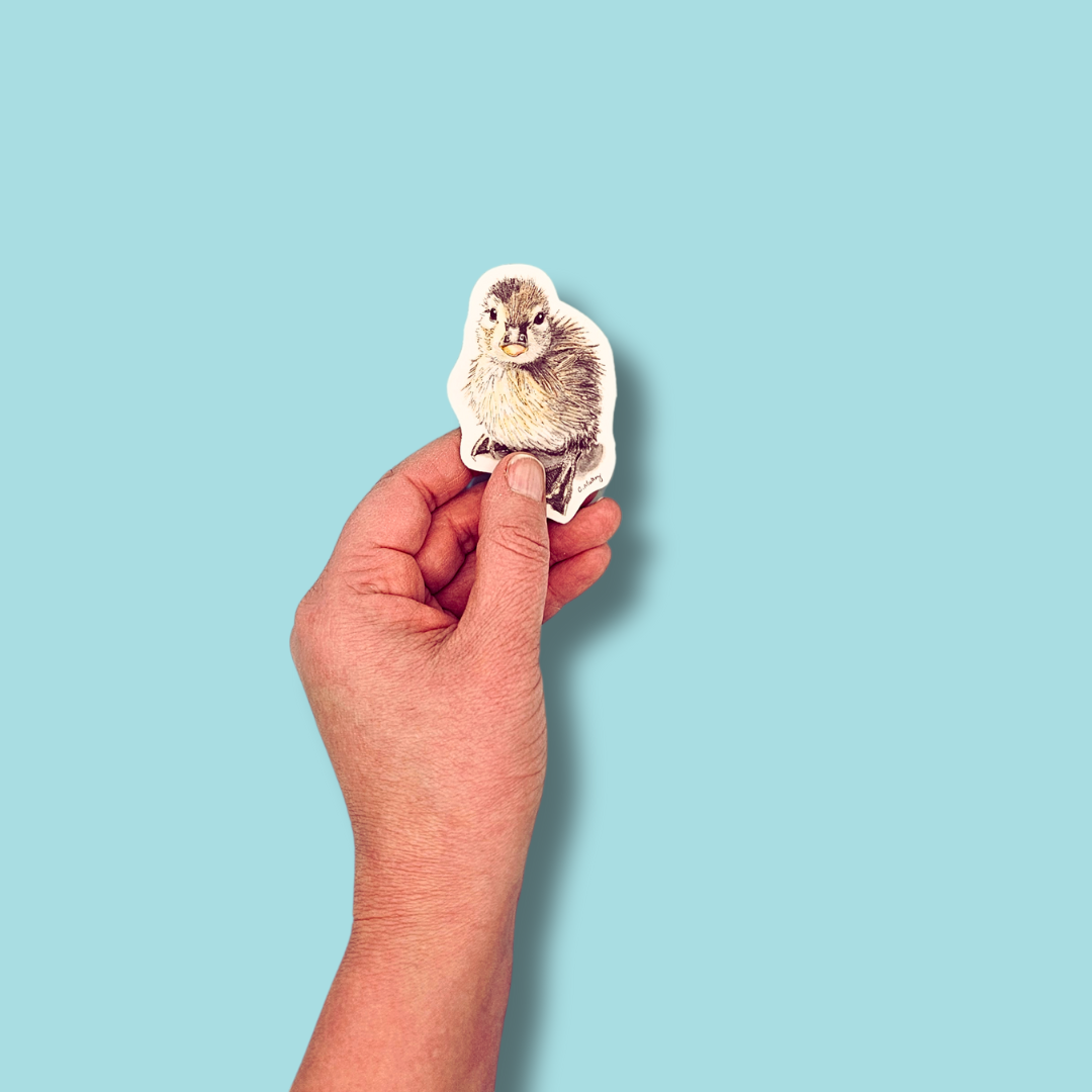 Waiting Duckling Sticker