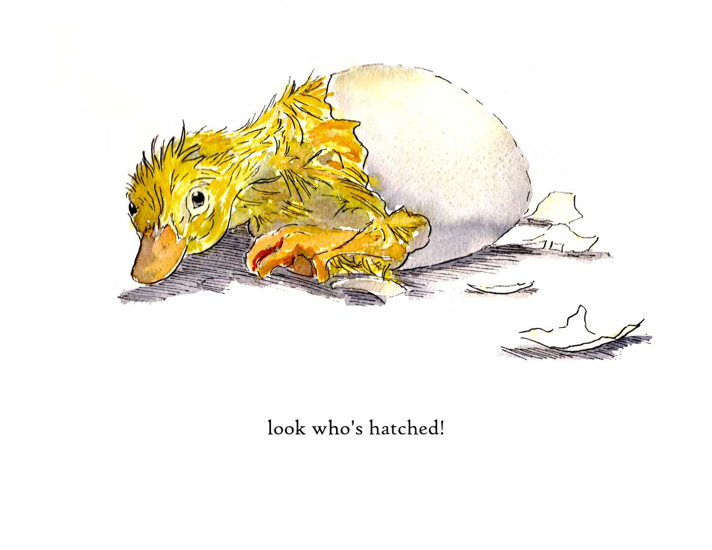 Hatchling Duck New Baby – Woodland Greeting Card