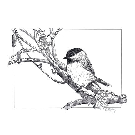 Chickadee Assorted Notecard Set