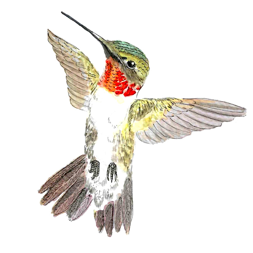 Hummer Mini Card