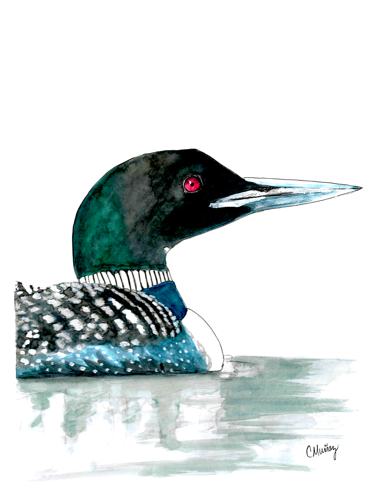 Portrait of a Loon Greeting Card
