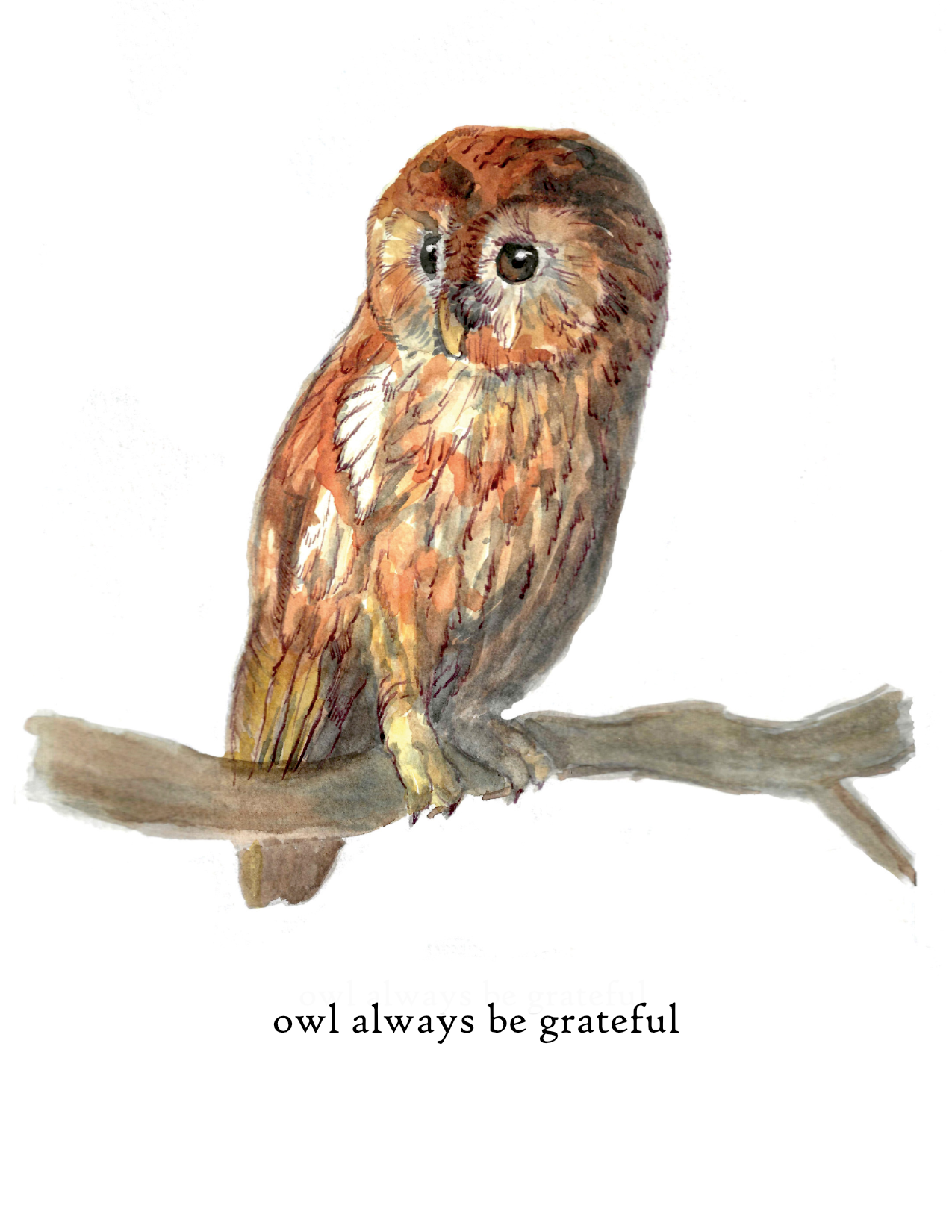 Owl Always Be Grateful Greeting Card