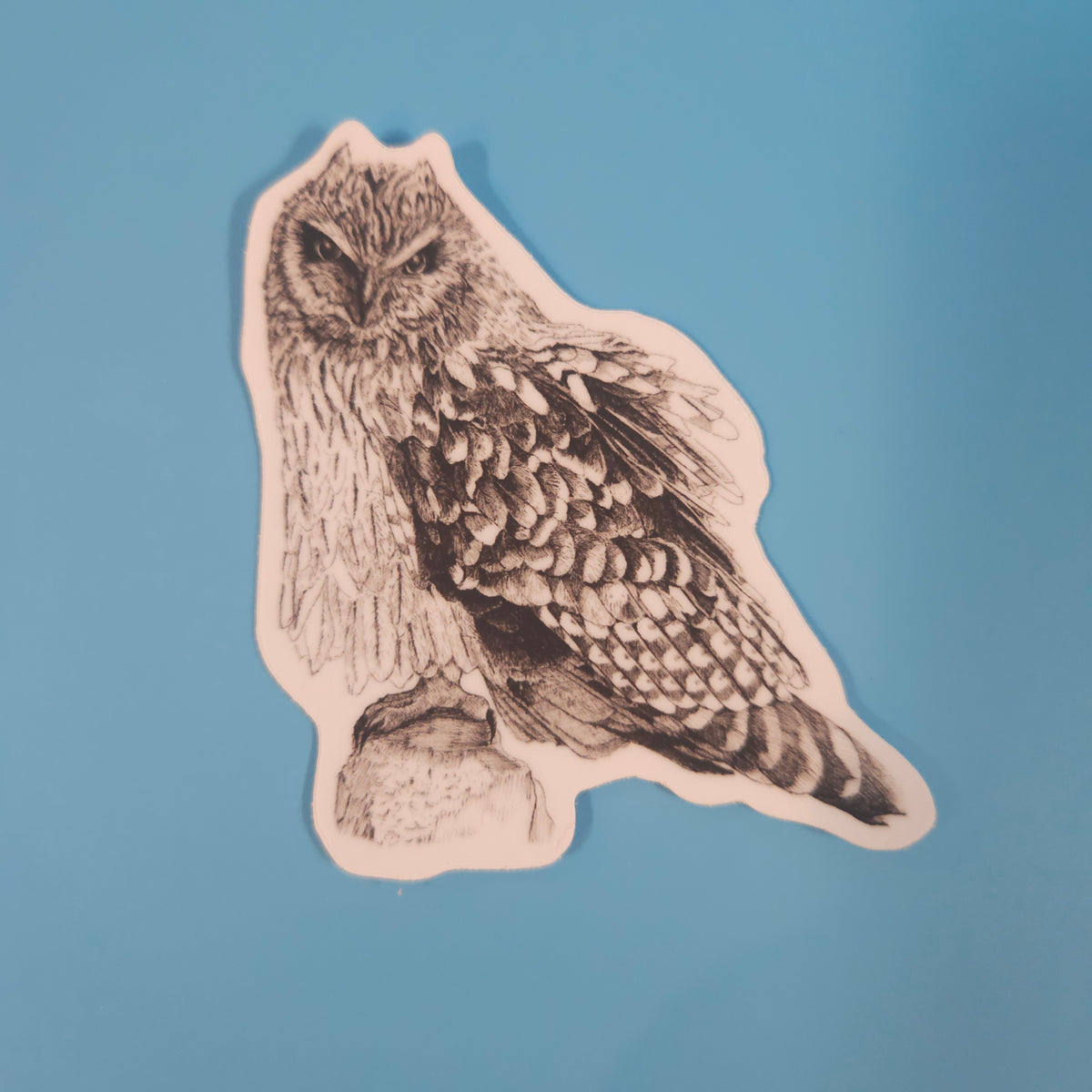 Ruffled Feathers Owl Sticker - 3x3” waterproof vinyl decal