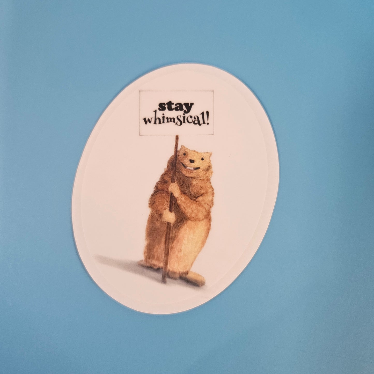 Stay Whimsical Groundhog Sticker – 3x3 Inch Transparent Waterproof Vinyl Decal