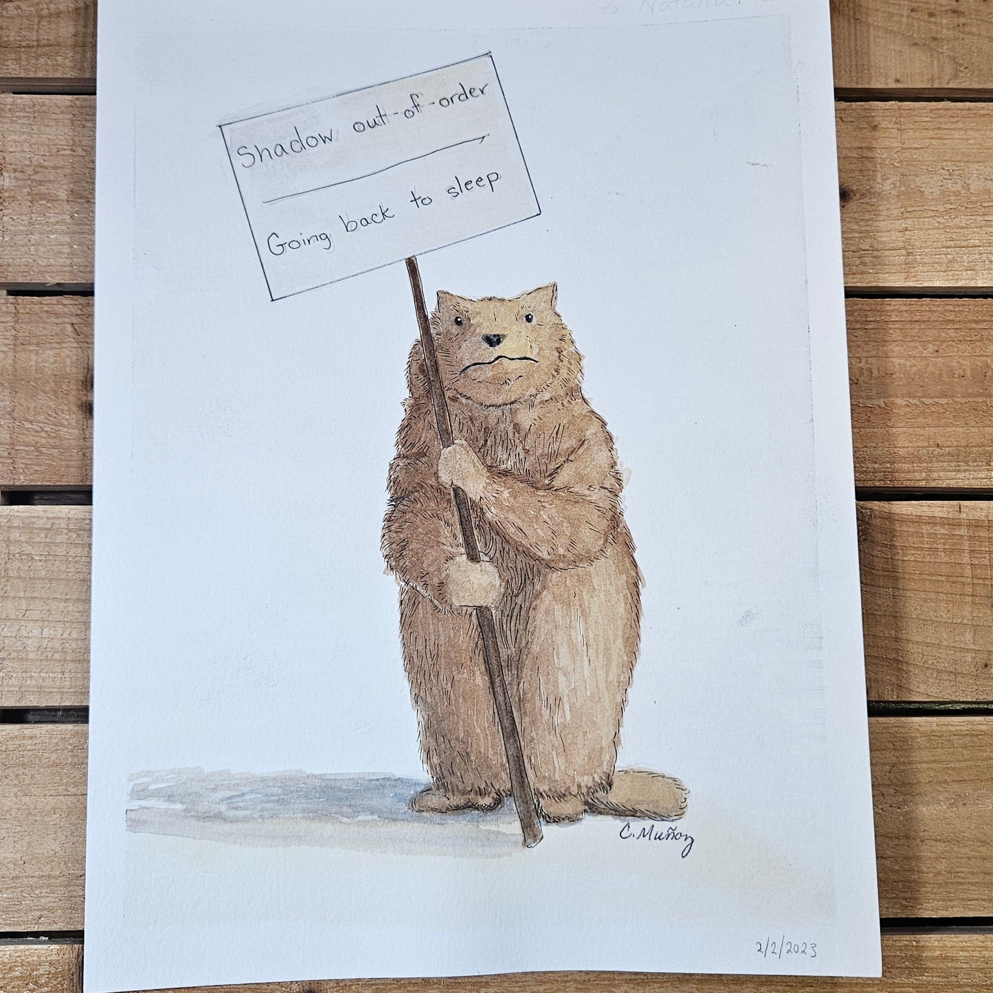 Grumpy Groundhog