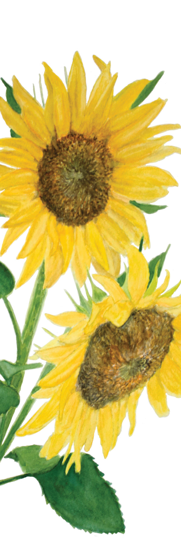Sunflowers bookmark