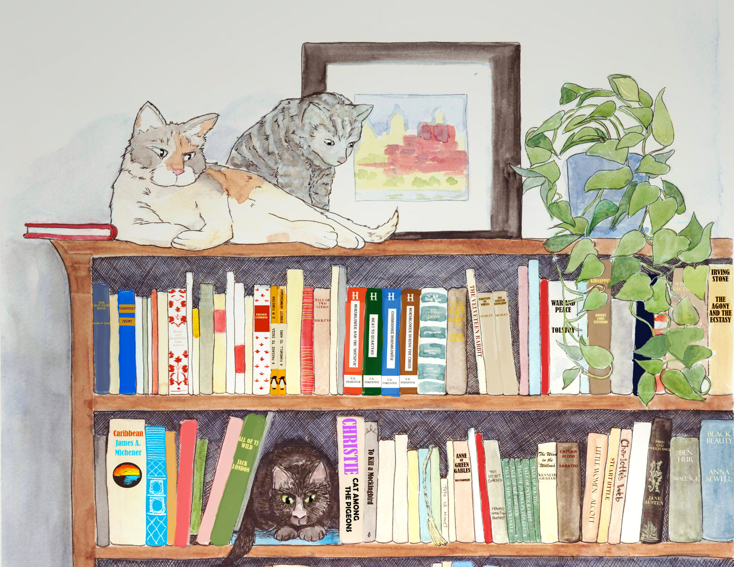 Top shelf Greeting Card