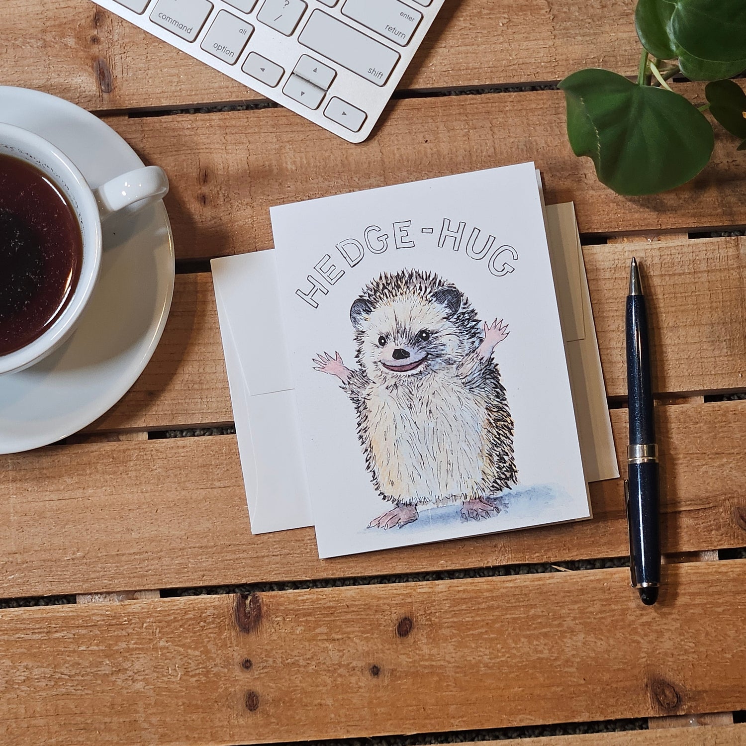 Hedgehog