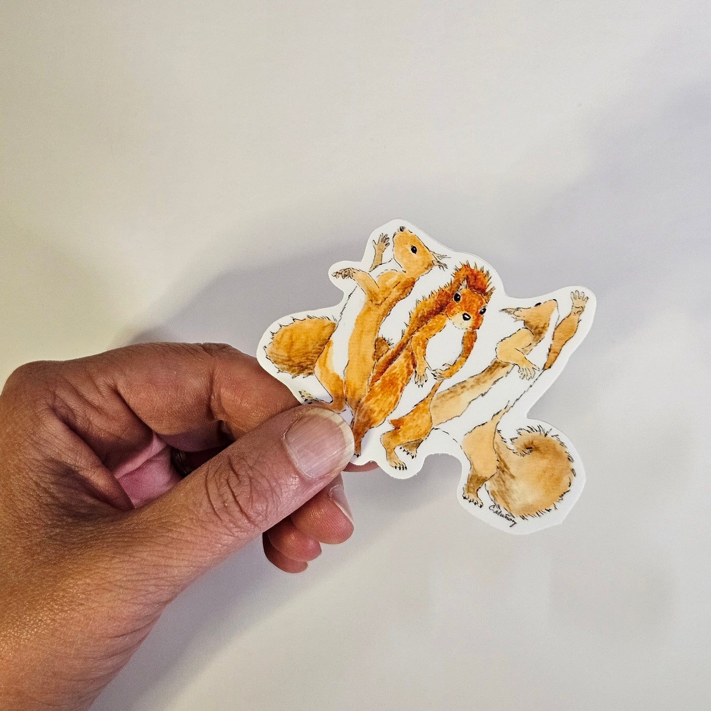 Squirrel Trio Showbiz Sticker – 3x3 Inch Waterproof Vinyl Decal