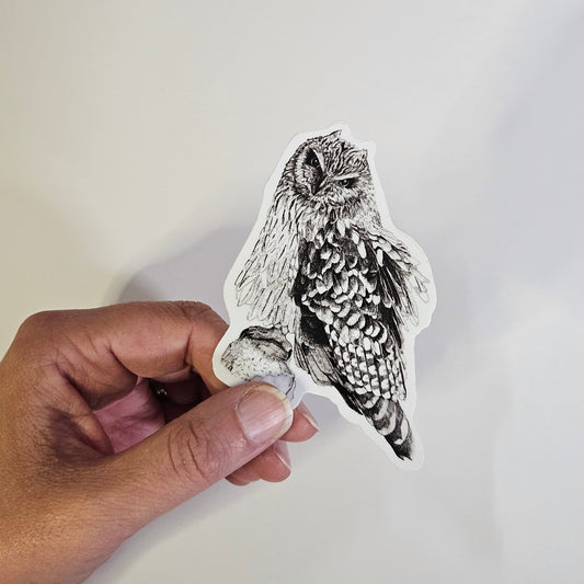 Ruffled Feathers Owl Sticker