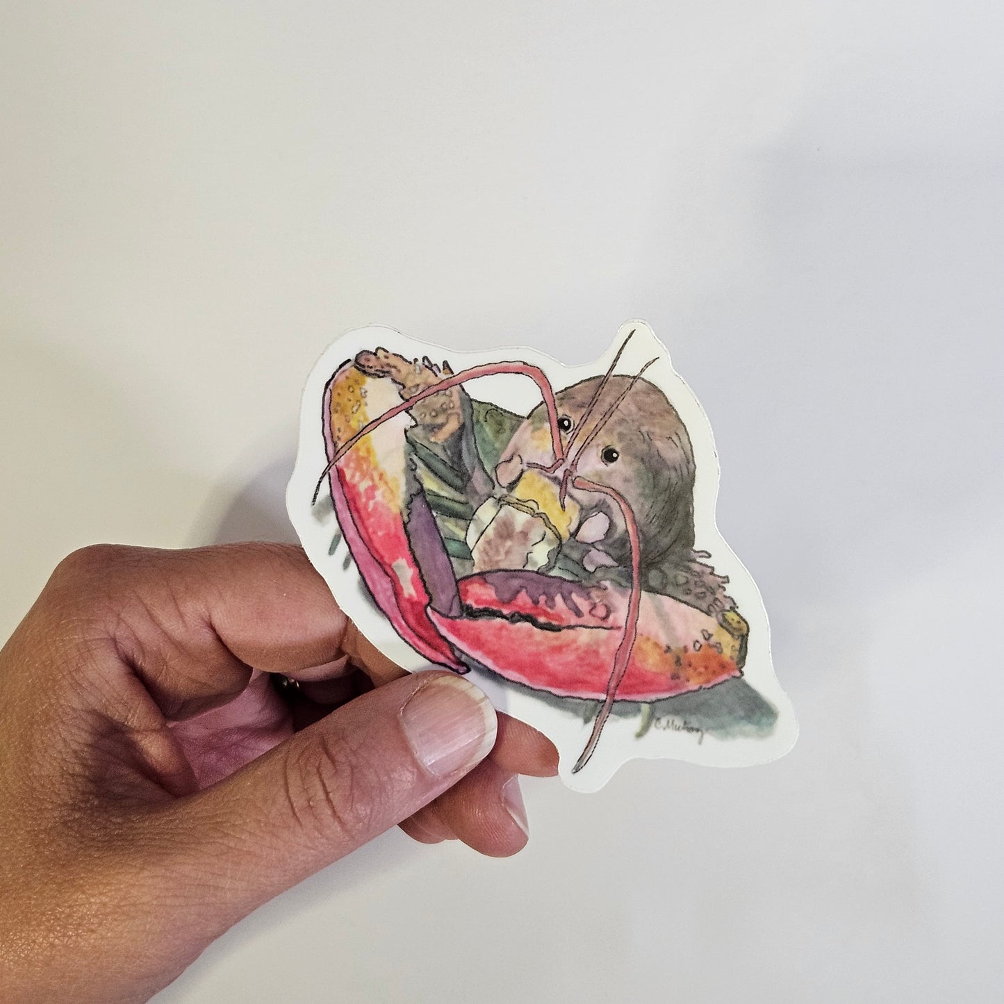 Lobster sticker