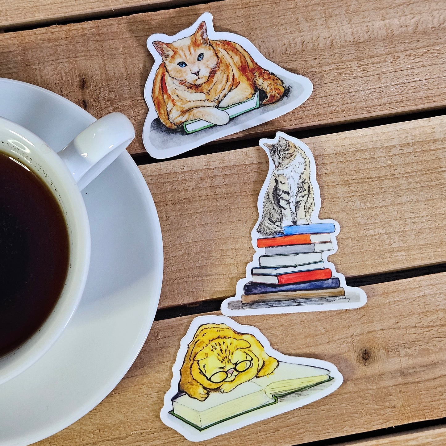 Which book? Cat Sticker  - 3x3” waterproof vinyl decal