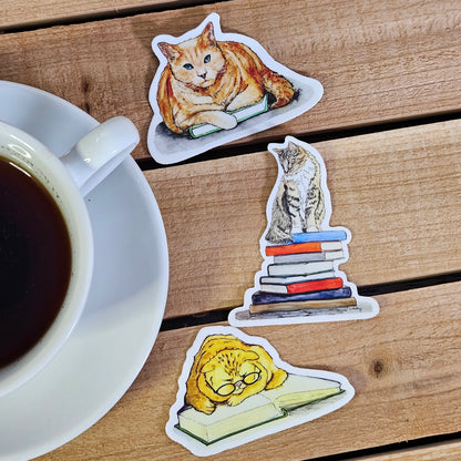 Which book? Cat Sticker  - 3x3” waterproof vinyl decal
