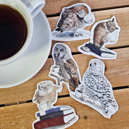 Snowy Owl Stirring Cocoa Sticker – 3x3 Inch Waterproof Vinyl Decal