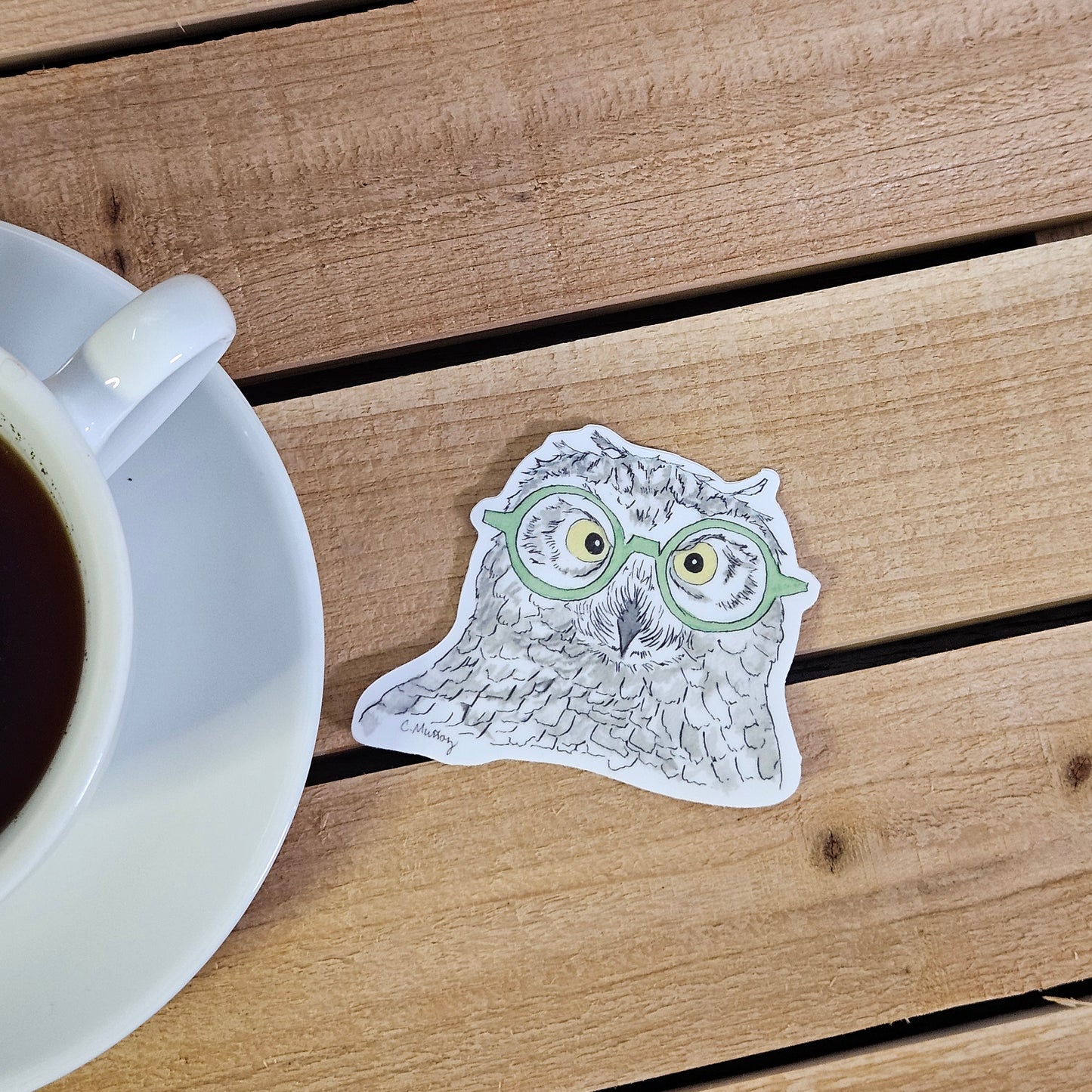 Snowy Owl Green Specs Sticker - 3x3” waterproof vinyl decal