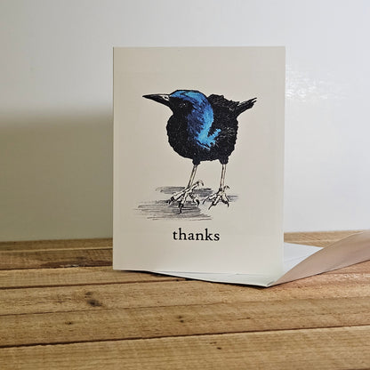 Colorful Grackle Thank You Card – Bold, Modern, and Whimsical