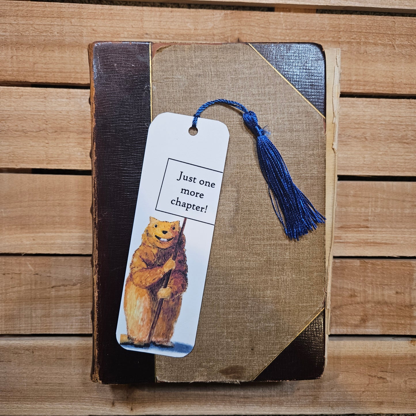 One More Chapter Groundhog Bookmark