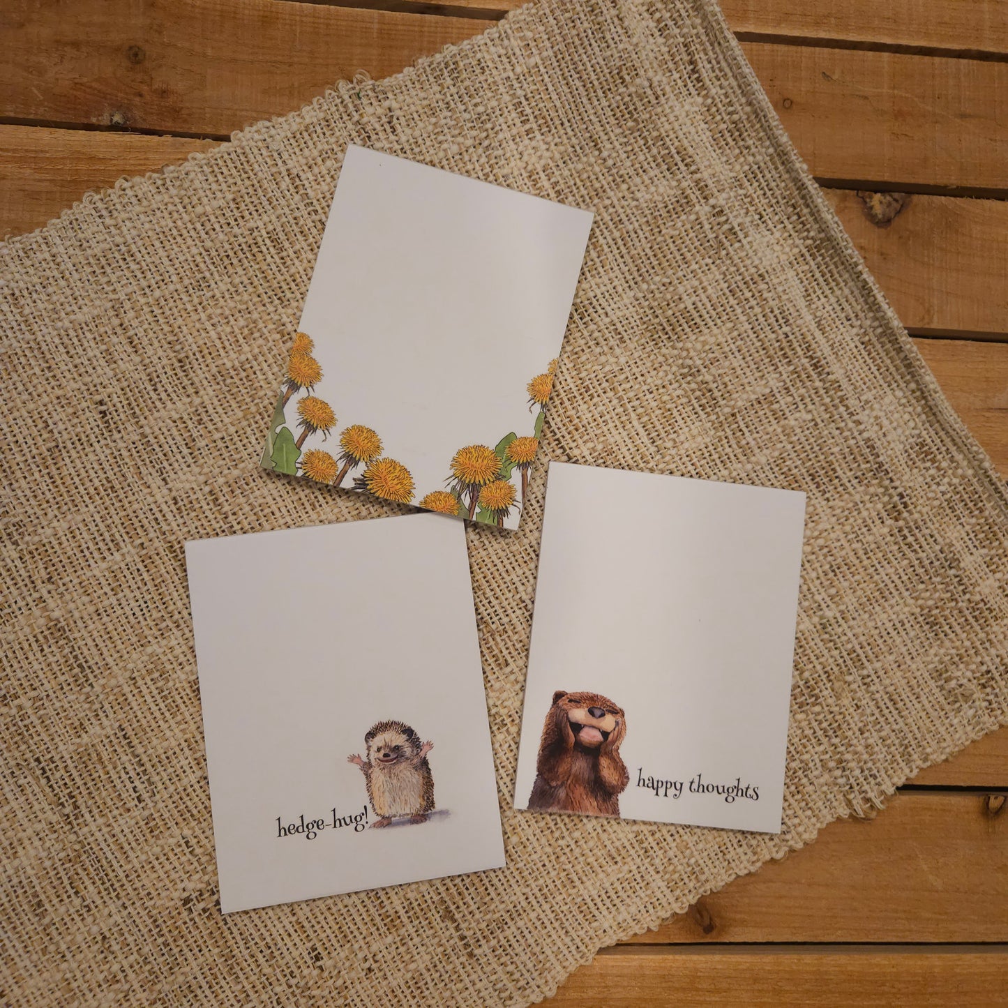 Little Joys 3 Illustrated Woodland Notepad Set
