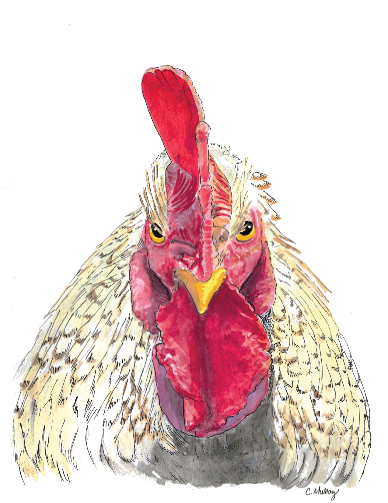 Chicken on you Greeting Card – whimsical woodland animal gift, perfect for holidays and everyday use.