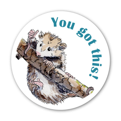 You Got This Possum Sticker – 3x3 Inch Waterproof Vinyl Decal