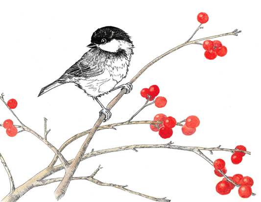 Among the Winterberries