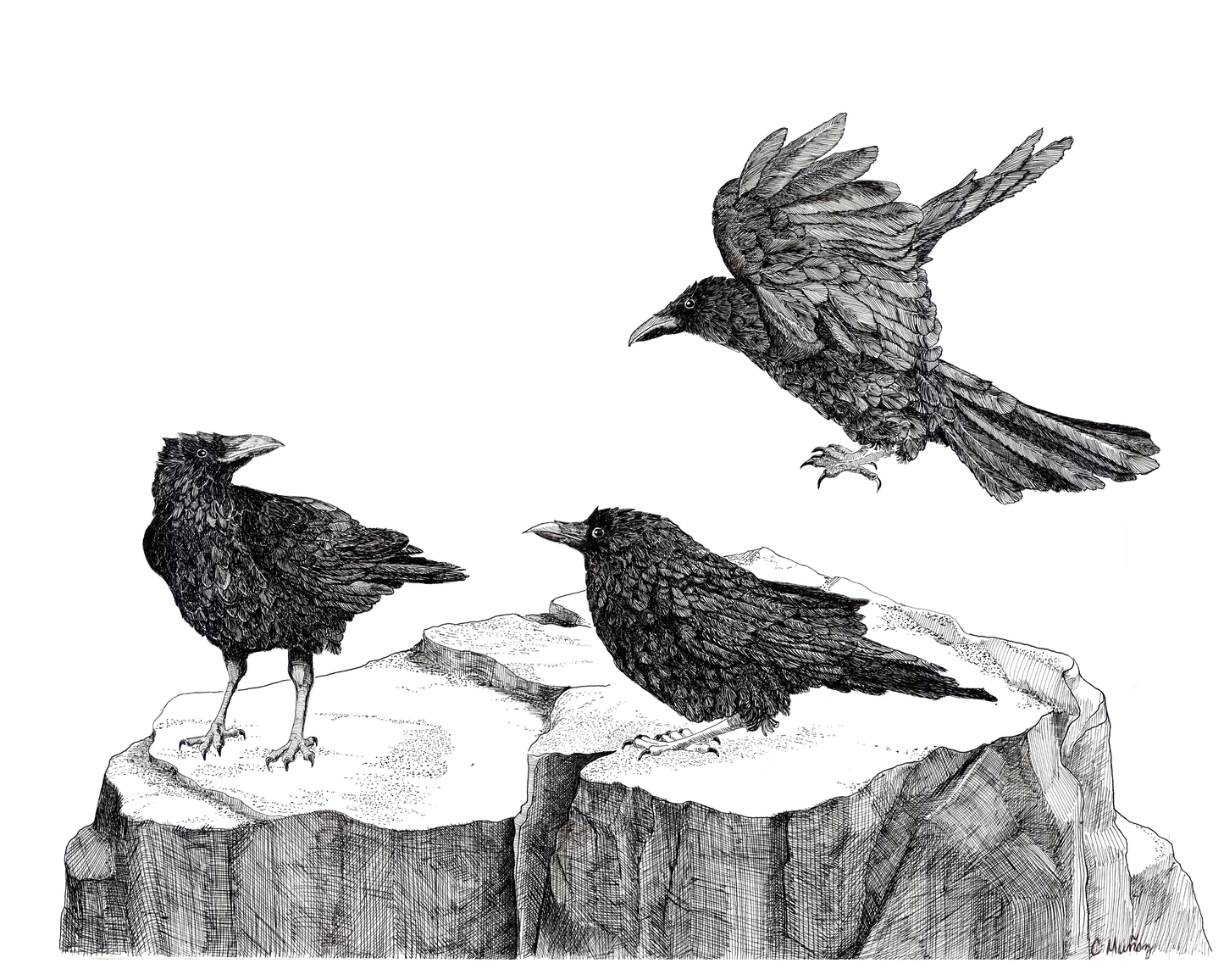Attempted Murder Large Print
