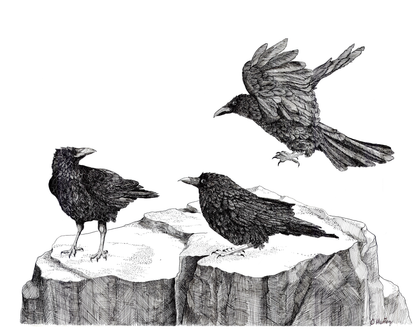 Attempted Murder Large Print