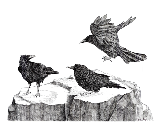 Attempted Murder Large Print