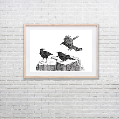 Attempted Murder Large Print