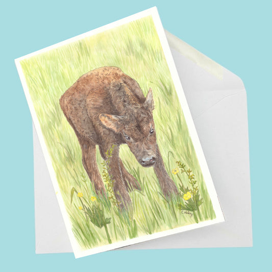 Born Yesterday Card
