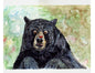 Bugging You art print