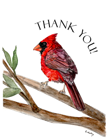 Cardinal Thank You Card – 4.25 x 5.5 inches, Blank Inside, Envelope Included