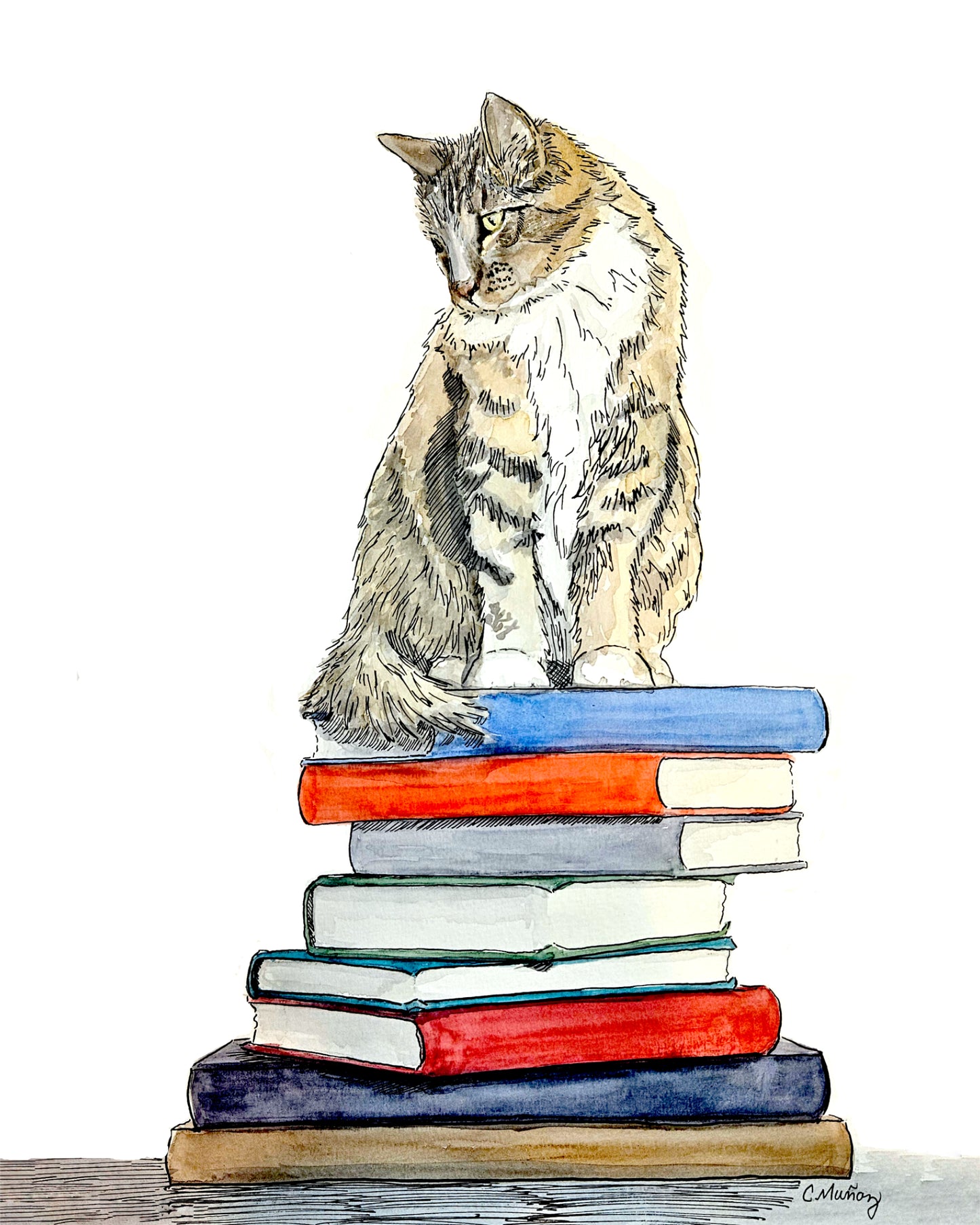 Which Book Cat