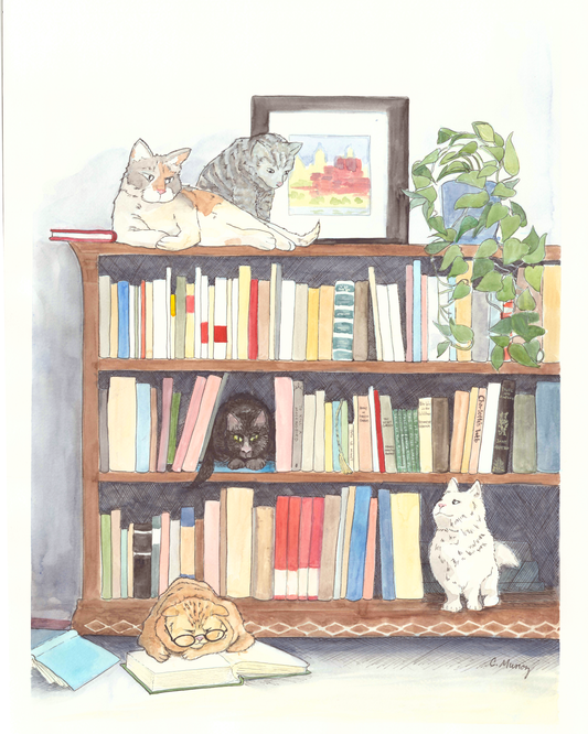 Cat Shelf