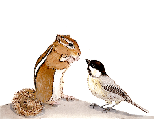 Chipmunk and Chickadee Conversation