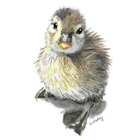 Duckling Mini Card