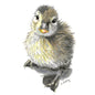 Duckling Mini Card