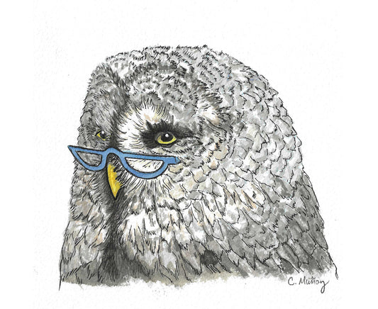 Half Moon Glasses Owl