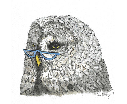 Half-moon specs card