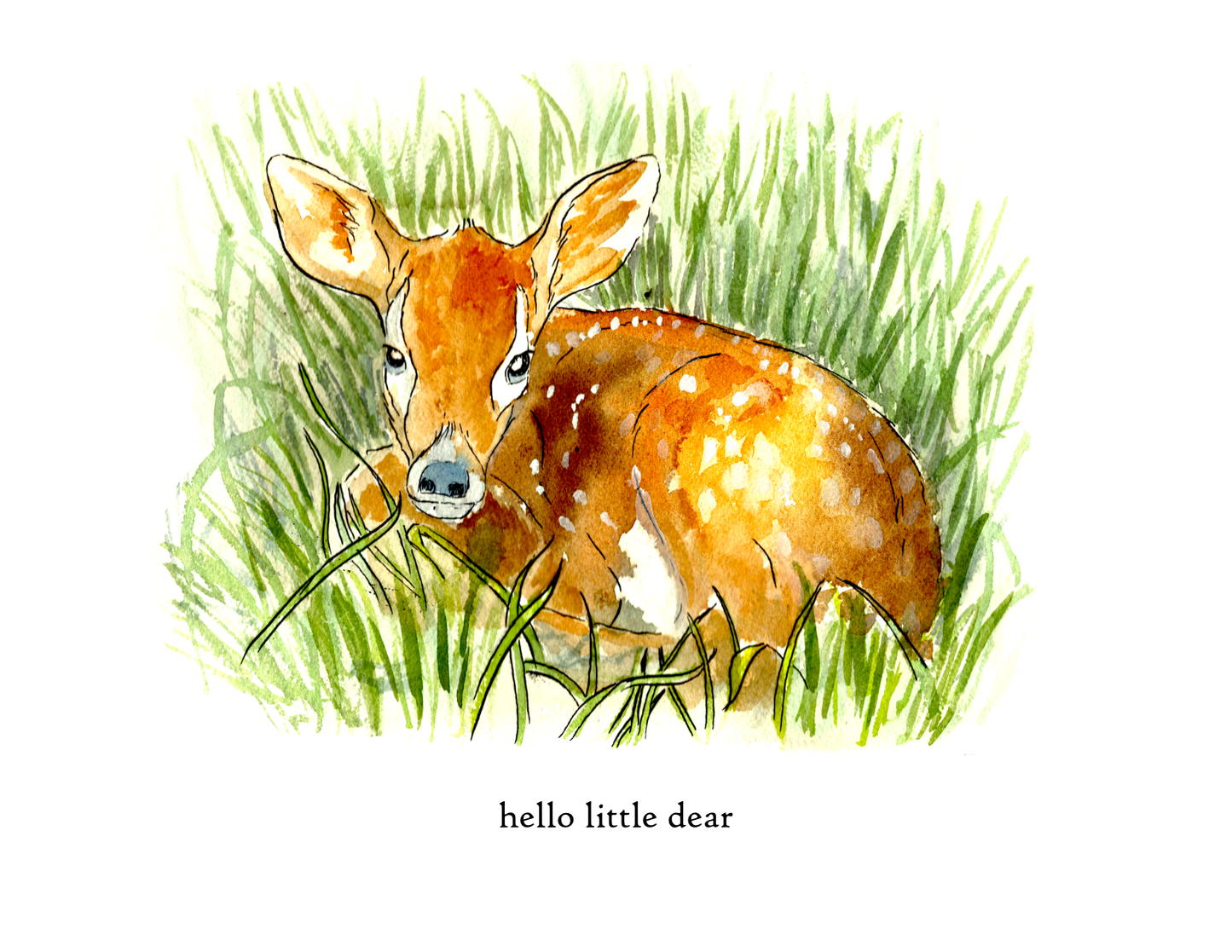 Hello Little Deer New Baby Announcement – Woodland Greeting Card