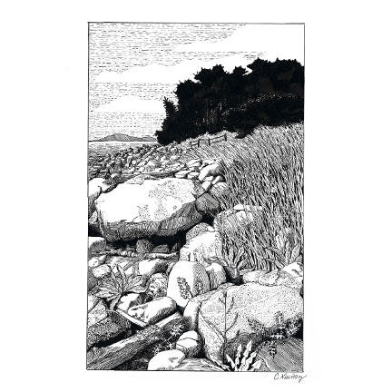 Low Tide — Rocky Maine Coastline Pen & Ink Art Print
