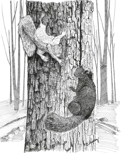 Meeting Halfway Squirrels